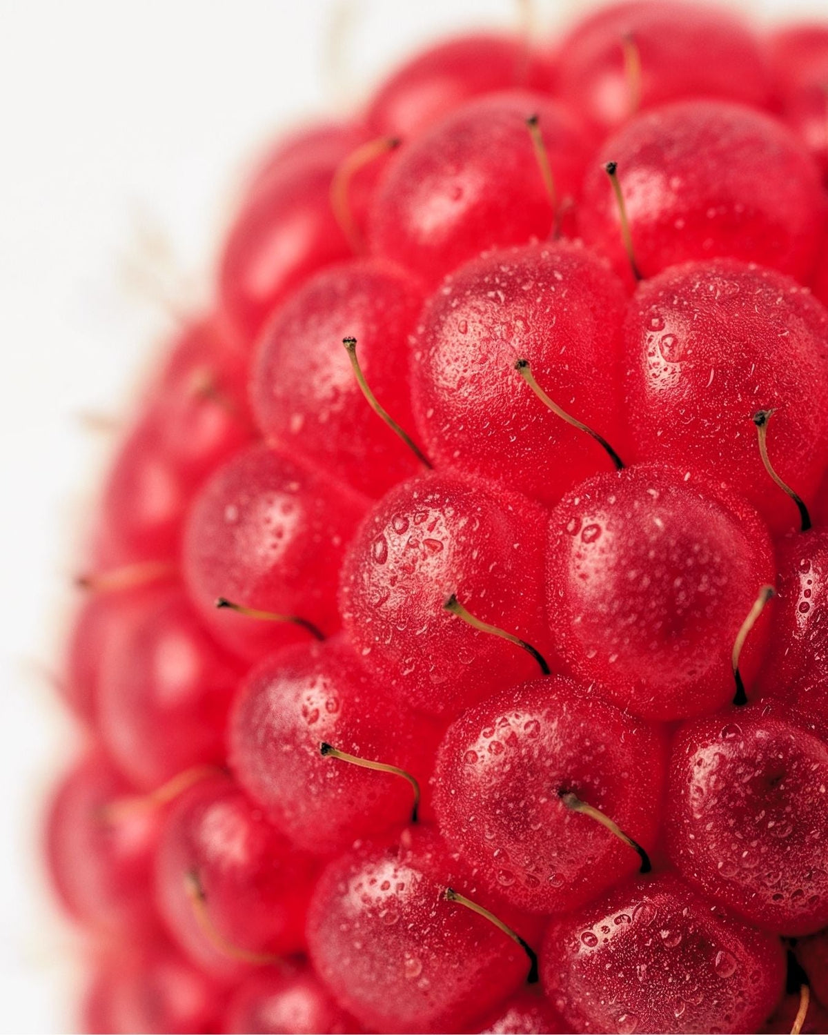 Raspberries