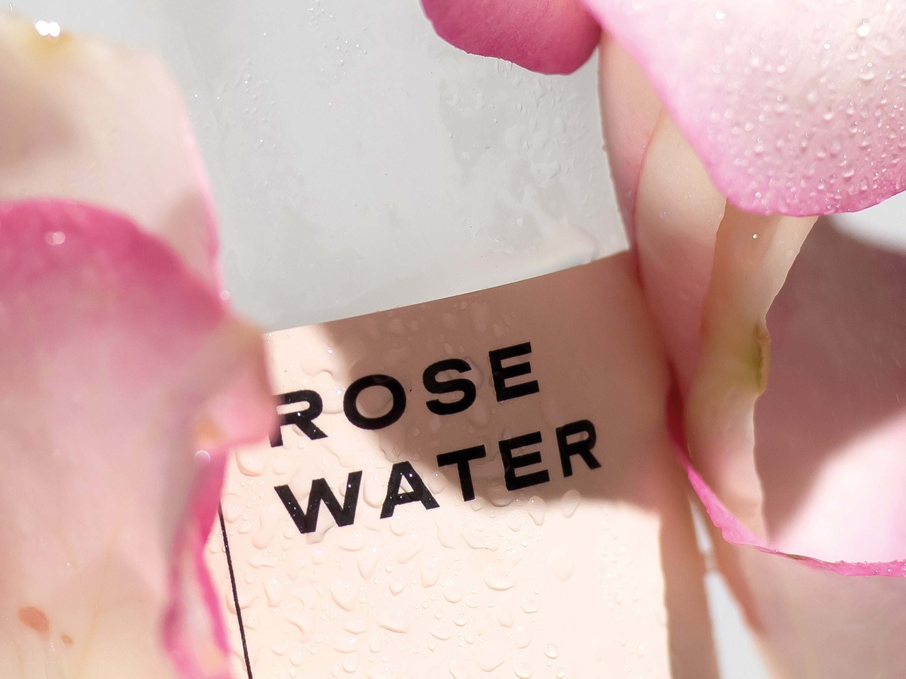 Rose Loved