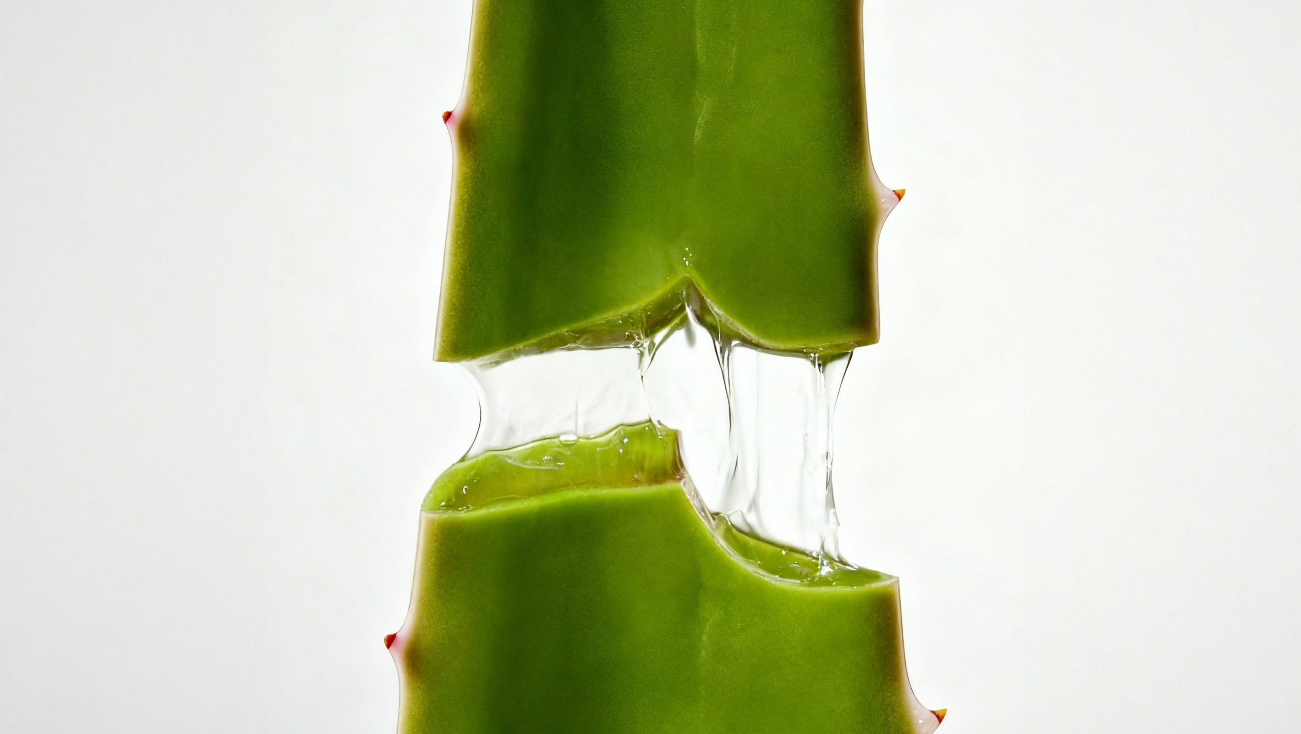 Vitamins: The Nutrients Your Skin Needs to Renew and Recover