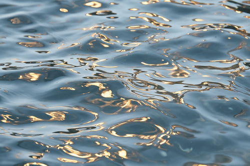 Water