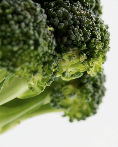 Broccoli Seeds Oil