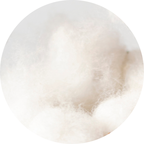 Cotton