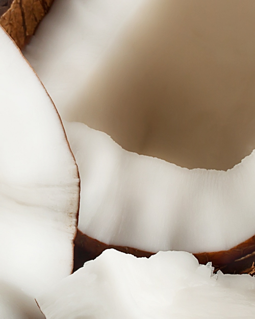 Niacinamide (Fermented Coconut)