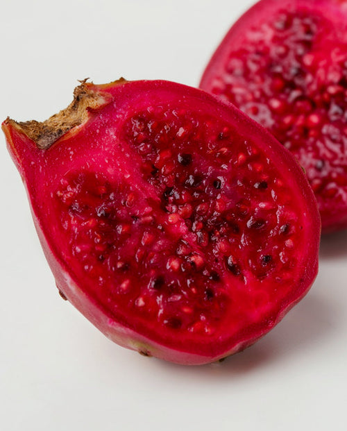 Prickly Pear Seed Oil